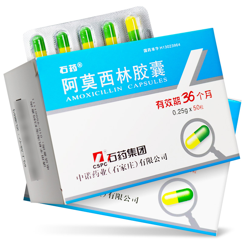石药 阿莫西林胶囊